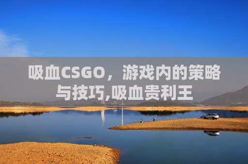吸血CSGO，游戏内的策略与技巧,吸血贵利王