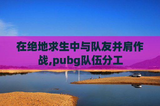 在绝地求生中与队友并肩作战,pubg队伍分工