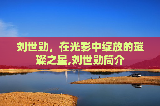 刘世勋，在光影中绽放的璀璨之星,刘世勋简介