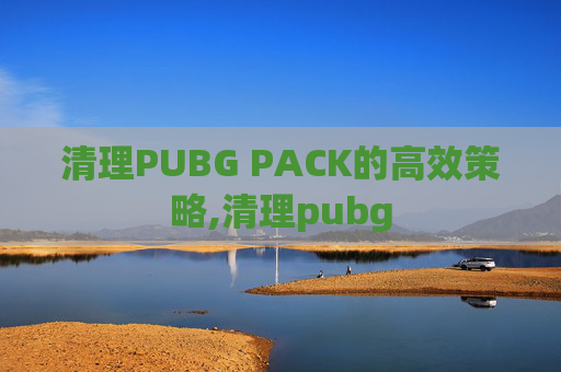 清理PUBG PACK的高效策略,清理pubg