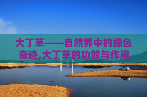 大丁草——自然界中的绿色奇迹,大丁草的功效与作用