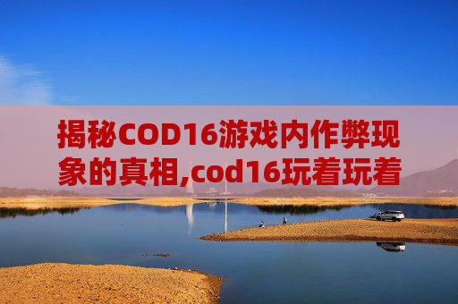 揭秘COD16游戏内作弊现象的真相,cod16玩着玩着黑屏