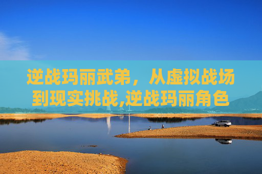 逆战玛丽武弟，从虚拟战场到现实挑战,逆战玛丽角色包特性