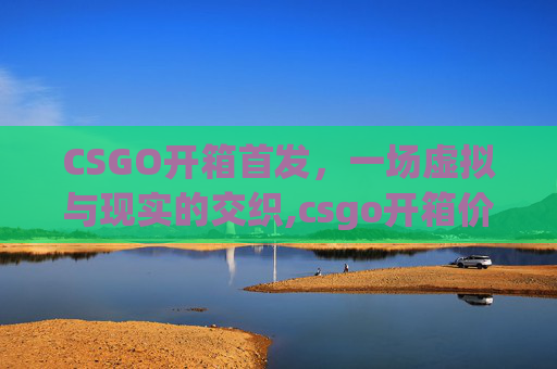 CSGO开箱首发，一场虚拟与现实的交织,csgo开箱价值详解