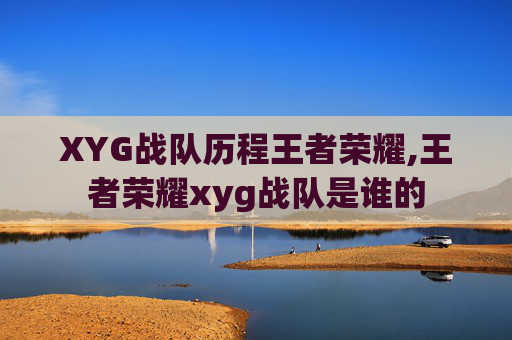 XYG战队历程王者荣耀,王者荣耀xyg战队是谁的
