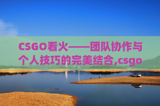 CSGO看火——团队协作与个人技巧的完美结合,csgo火怎么看清楚