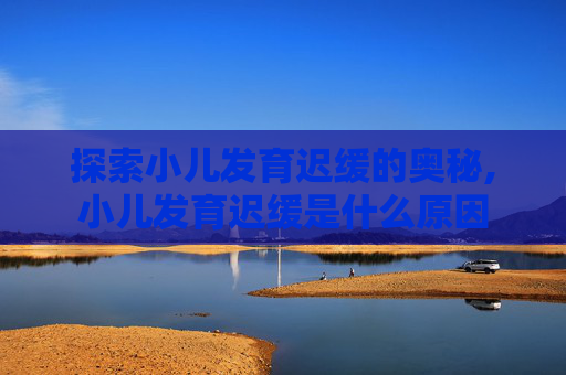 探索小儿发育迟缓的奥秘,小儿发育迟缓是什么原因