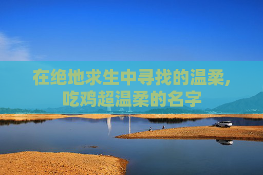 在绝地求生中寻找的温柔,吃鸡超温柔的名字