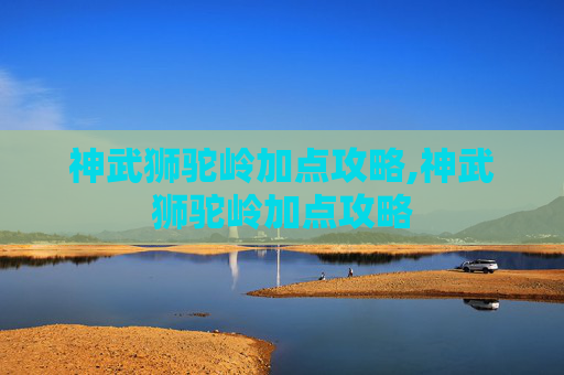 神武狮驼岭加点攻略,神武狮驼岭加点攻略