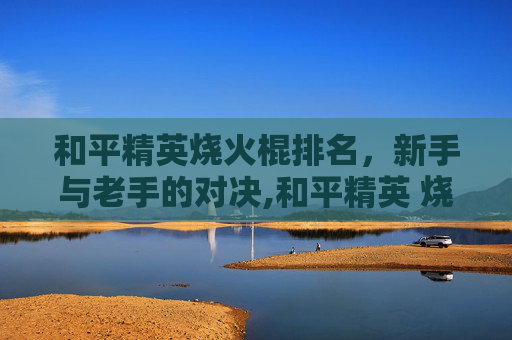 和平精英烧火棍排名，新手与老手的对决,和平精英 烧火取暖是什么模式