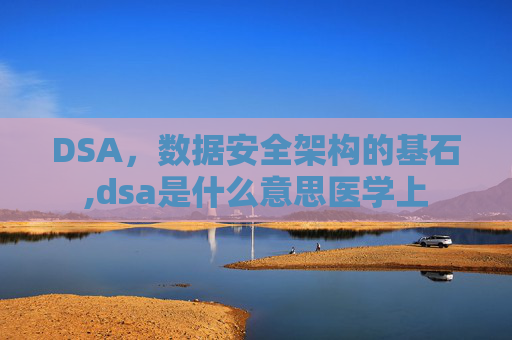 DSA，数据安全架构的基石,dsa是什么意思医学上