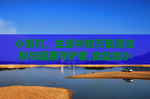 小苏打，生活中的万能清洁剂与健康守护者,食盐加小苏打的功效与作用