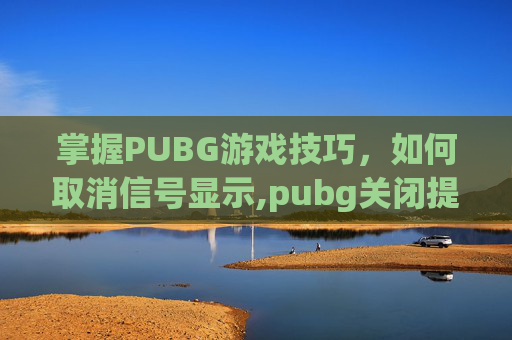 掌握PUBG游戏技巧，如何取消信号显示,pubg关闭提示
