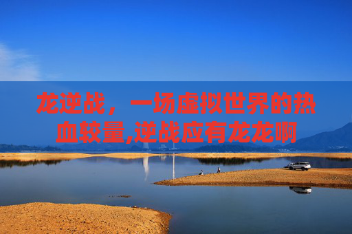 龙逆战，一场虚拟世界的热血较量,逆战应有龙龙啊