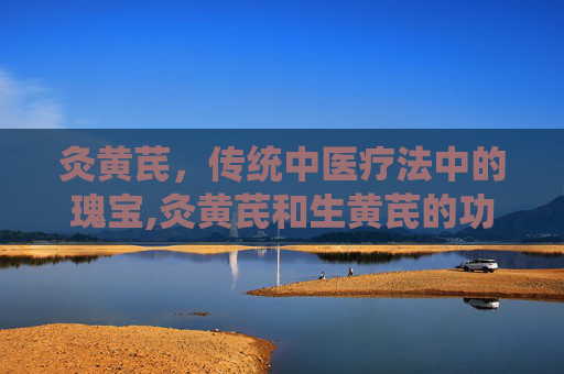 灸黄芪，传统中医疗法中的瑰宝,灸黄芪和生黄芪的功效有什么区别