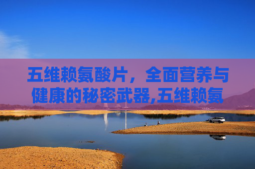 五维赖氨酸片，全面营养与健康的秘密武器,五维赖氨酸片对孩子有什么好处