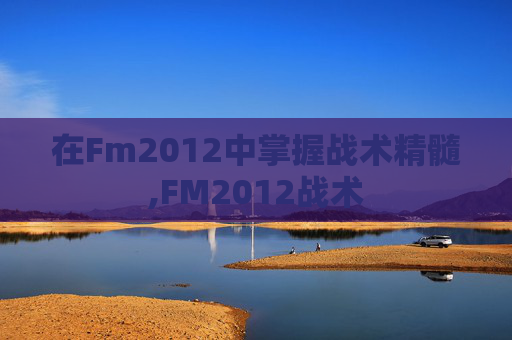 在Fm2012中掌握战术精髓,FM2012战术