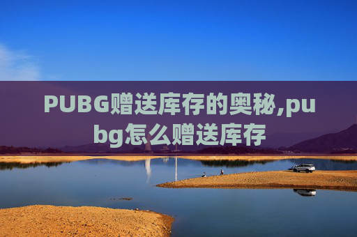 PUBG赠送库存的奥秘,pubg怎么赠送库存