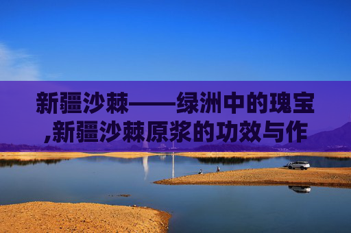 新疆沙棘——绿洲中的瑰宝,新疆沙棘原浆的功效与作用
