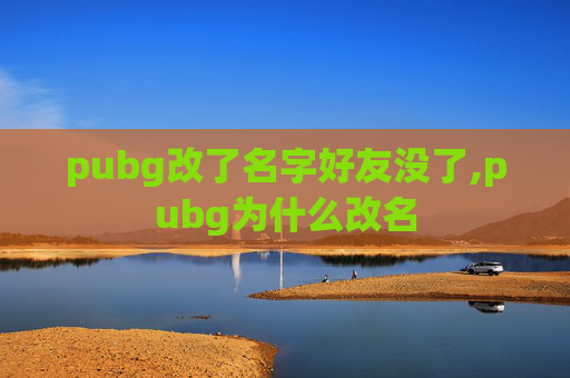 pubg改了名字好友没了,pubg为什么改名