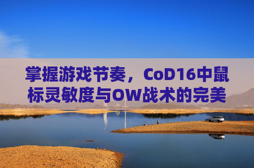 掌握游戏节奏，CoD16中鼠标灵敏度与OW战术的完美结合,cod16鼠标速度