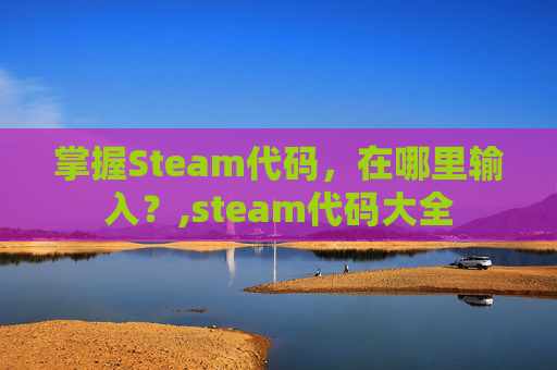 掌握Steam代码，在哪里输入？,steam代码大全