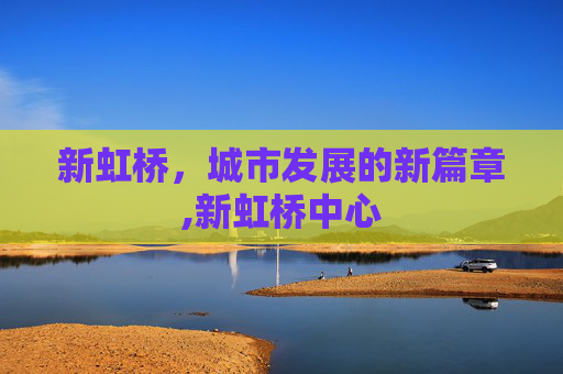 新虹桥，城市发展的新篇章,新虹桥中心