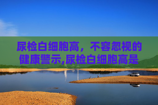 尿检白细胞高，不容忽视的健康警示,尿检白细胞高是什么原因