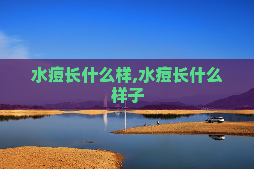 水痘长什么样,水痘长什么样子