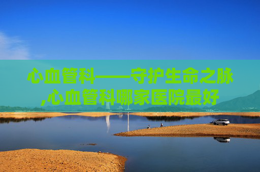 心血管科——守护生命之脉,心血管科哪家医院最好