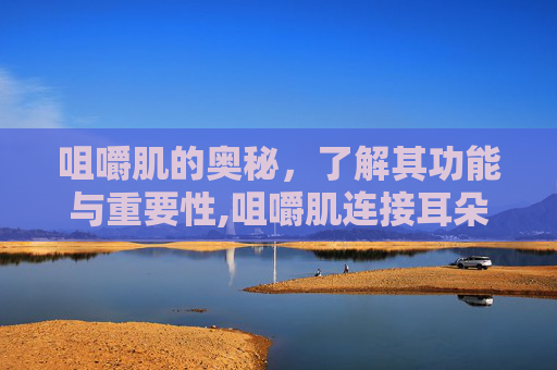 咀嚼肌的奥秘，了解其功能与重要性,咀嚼肌连接耳朵处咬合疼痛