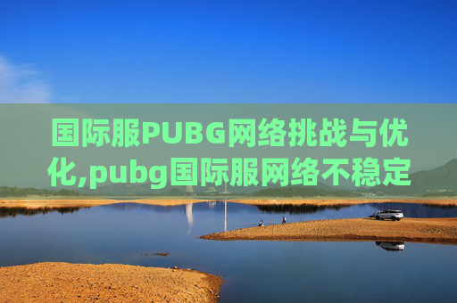 国际服PUBG网络挑战与优化,pubg国际服网络不稳定