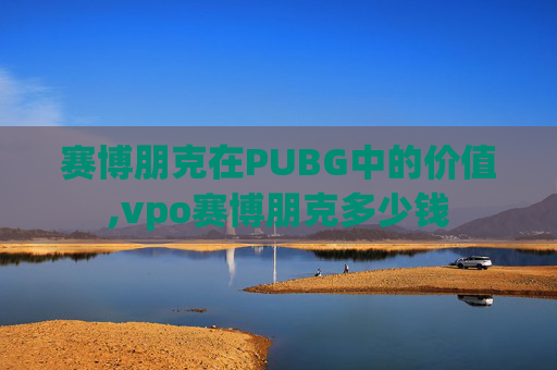 赛博朋克在PUBG中的价值,vpo赛博朋克多少钱
