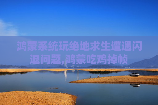 鸿蒙系统玩绝地求生遭遇闪退问题,鸿蒙吃鸡掉帧