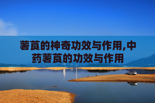 薯莨的神奇功效与作用,中药薯莨的功效与作用
