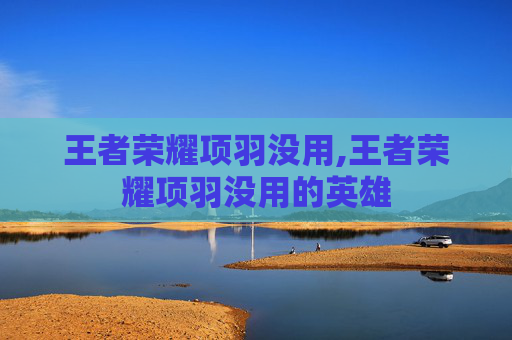 王者荣耀项羽没用,王者荣耀项羽没用的英雄