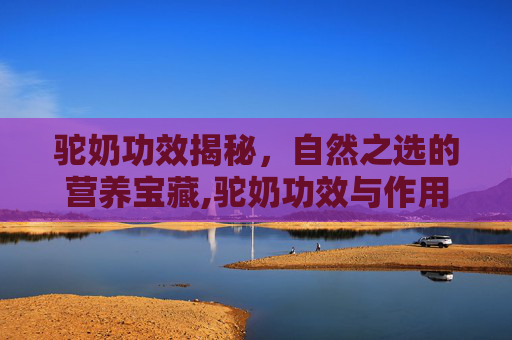 驼奶功效揭秘，自然之选的营养宝藏,驼奶功效与作用营养价值