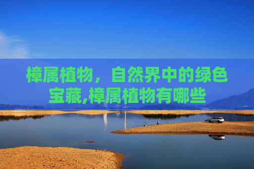樟属植物，自然界中的绿色宝藏,樟属植物有哪些