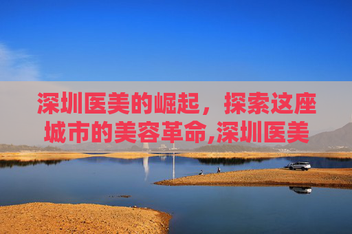 深圳医美的崛起，探索这座城市的美容革命,深圳医美整形医院排行榜