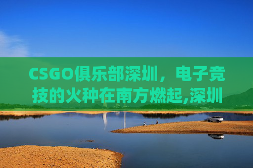 CSGO俱乐部深圳，电子竞技的火种在南方燃起,深圳csgo电竞俱乐部