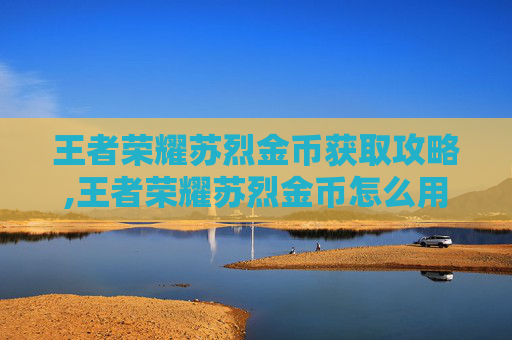 王者荣耀苏烈金币获取攻略,王者荣耀苏烈金币怎么用