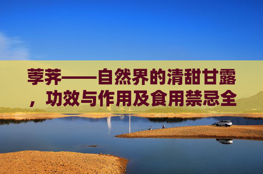 荸荠——自然界的清甜甘露，功效与作用及食用禁忌全解析,荸荠的功效与作用及禁忌是什么