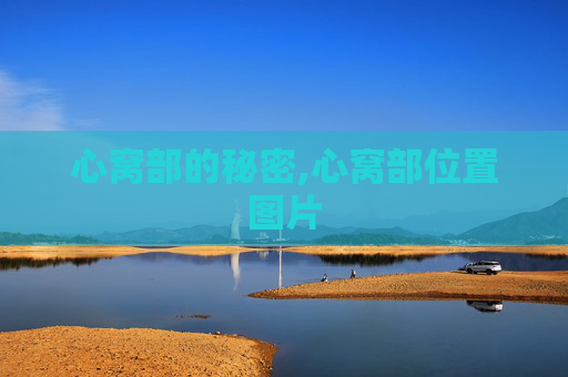 心窝部的秘密,心窝部位置图片