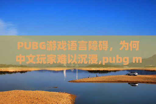 PUBG游戏语言障碍，为何中文玩家难以沉浸,pubg mobile没有中文