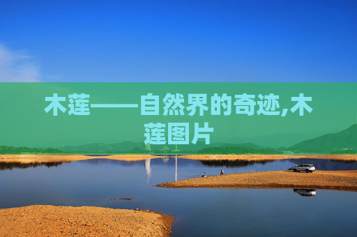 木莲——自然界的奇迹,木莲图片