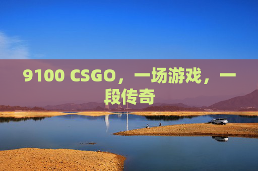 9100 CSGO，一场游戏，一段传奇
