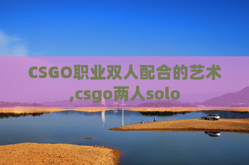 CSGO职业双人配合的艺术,csgo两人solo