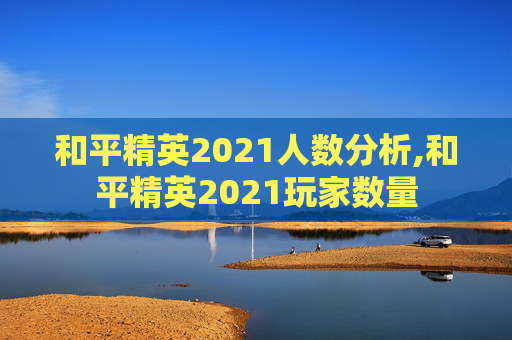 和平精英2021人数分析,和平精英2021玩家数量