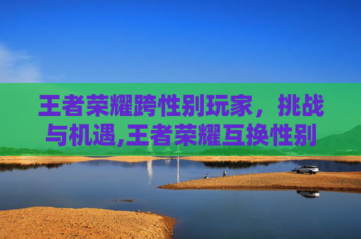 王者荣耀跨性别玩家，挑战与机遇,王者荣耀互换性别
