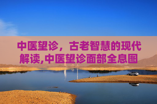 中医望诊，古老智慧的现代解读,中医望诊面部全息图